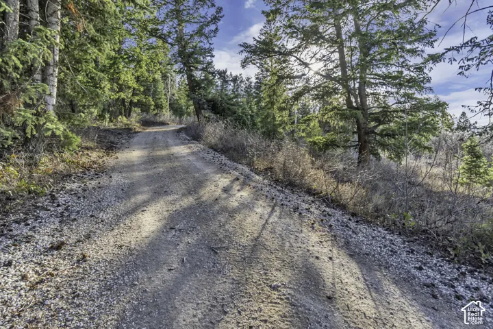 17029 S Alta Dr, Spanish Fork, Utah 84660