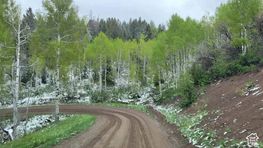 View of dirt / gravel road