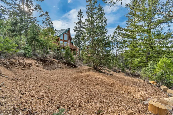 17029 S Alta Dr, Spanish Fork, Utah 84660