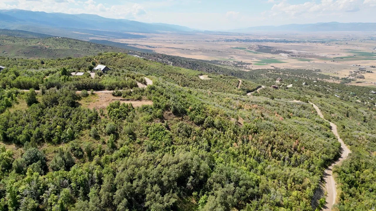 Bird's eye view of a heavily wooded area and mountains