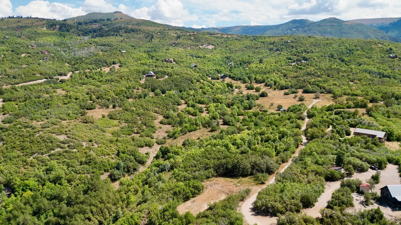 Aerial view of a heavily wooded area and mountains
