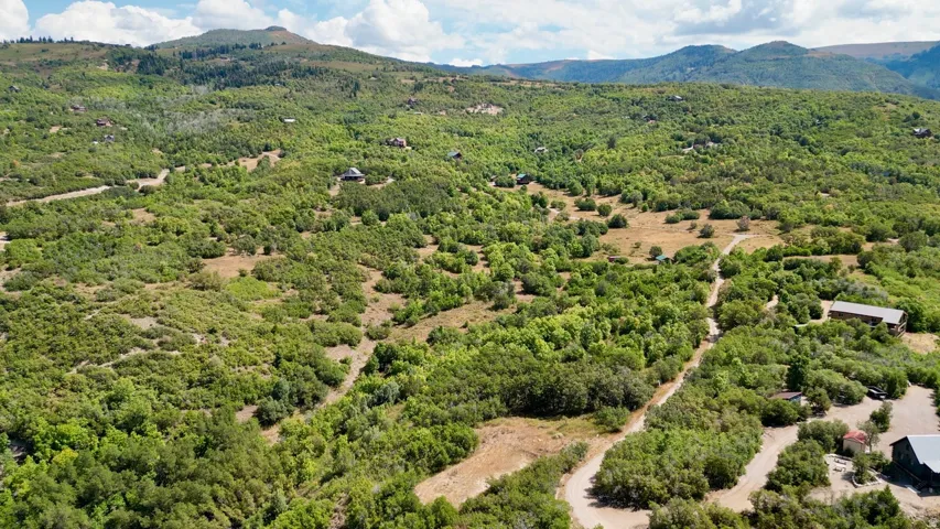 Aerial view of a heavily wooded area and mountains