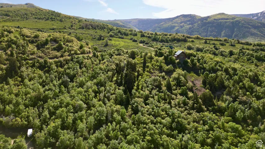 22045 N 14375 E, Fairview, Utah 84629