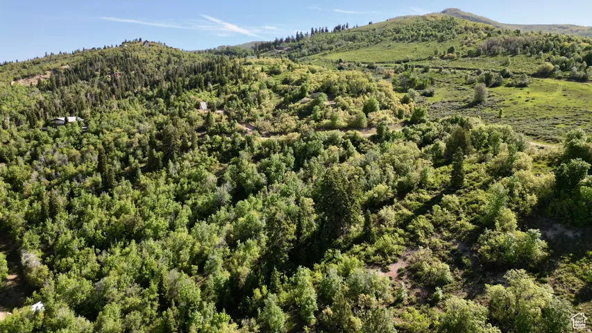 22045 N 14375 E, Fairview, Utah 84629