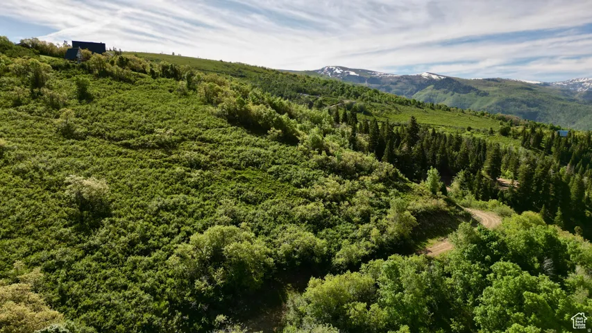 23206 N 14136 E, Fairview, Utah 84629