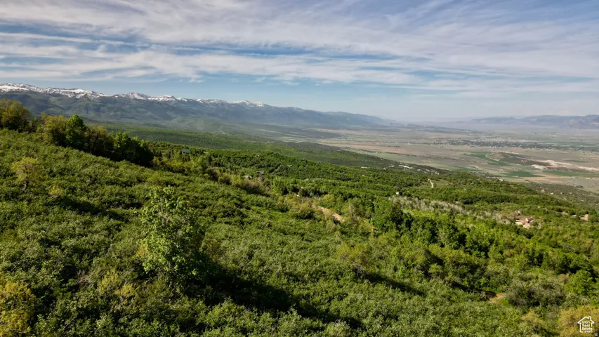 23206 N 14136 E, Fairview, Utah 84629