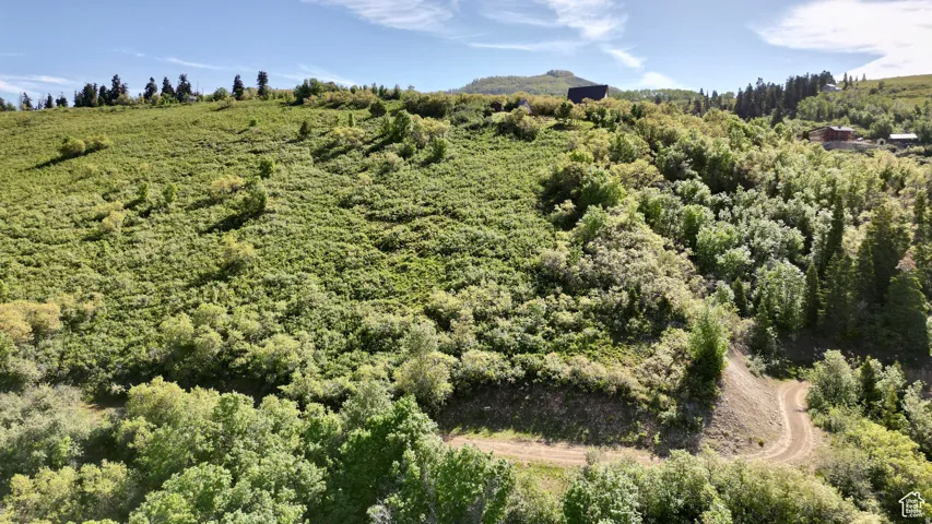 23206 N 14136 E, Fairview, Utah 84629