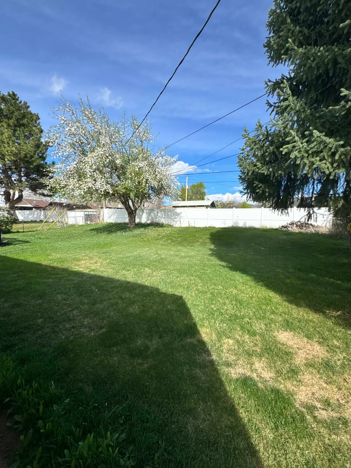 View of fenced backyard