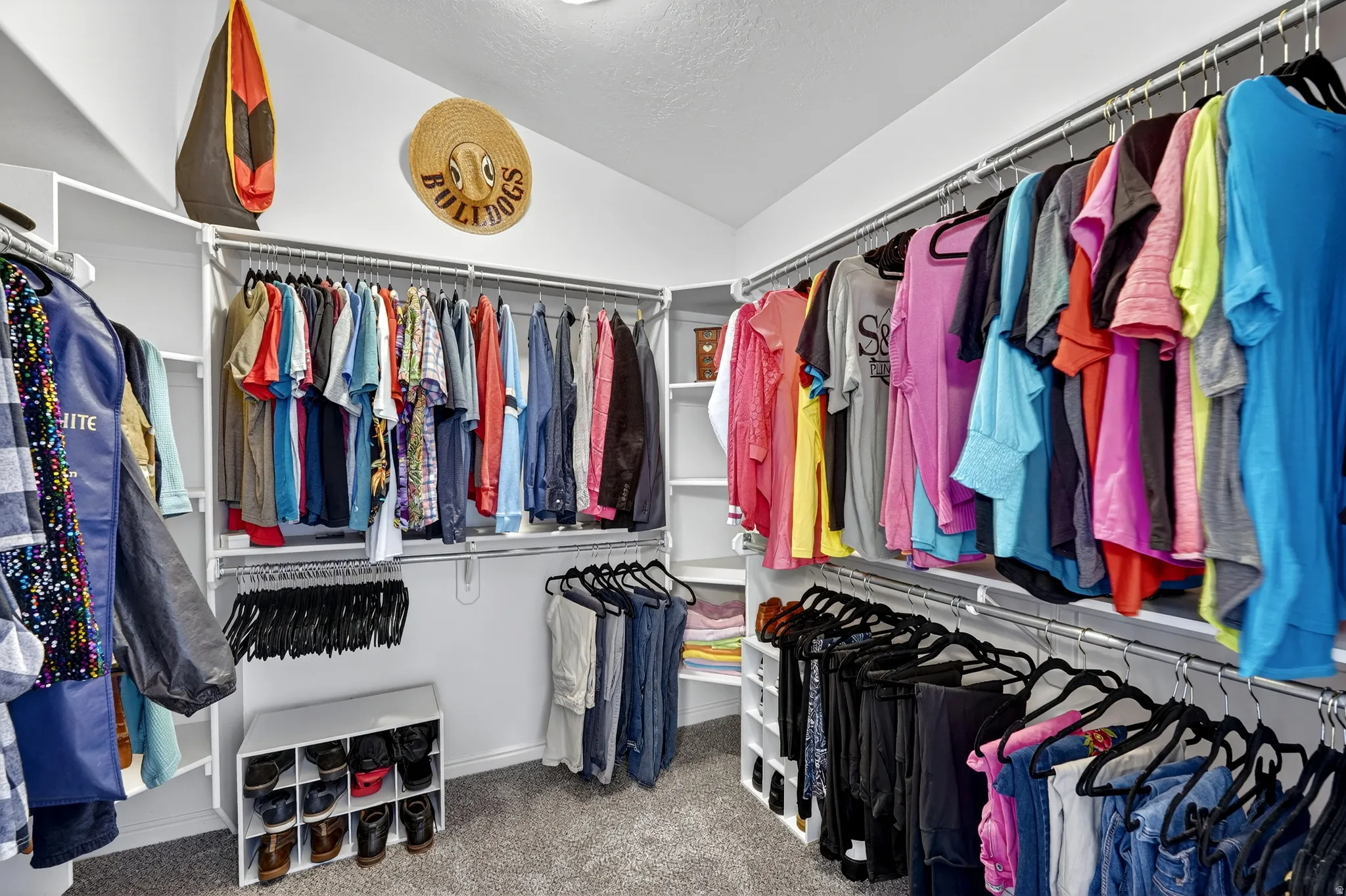 Walk in closet featuring vaulted ceiling and light carpet