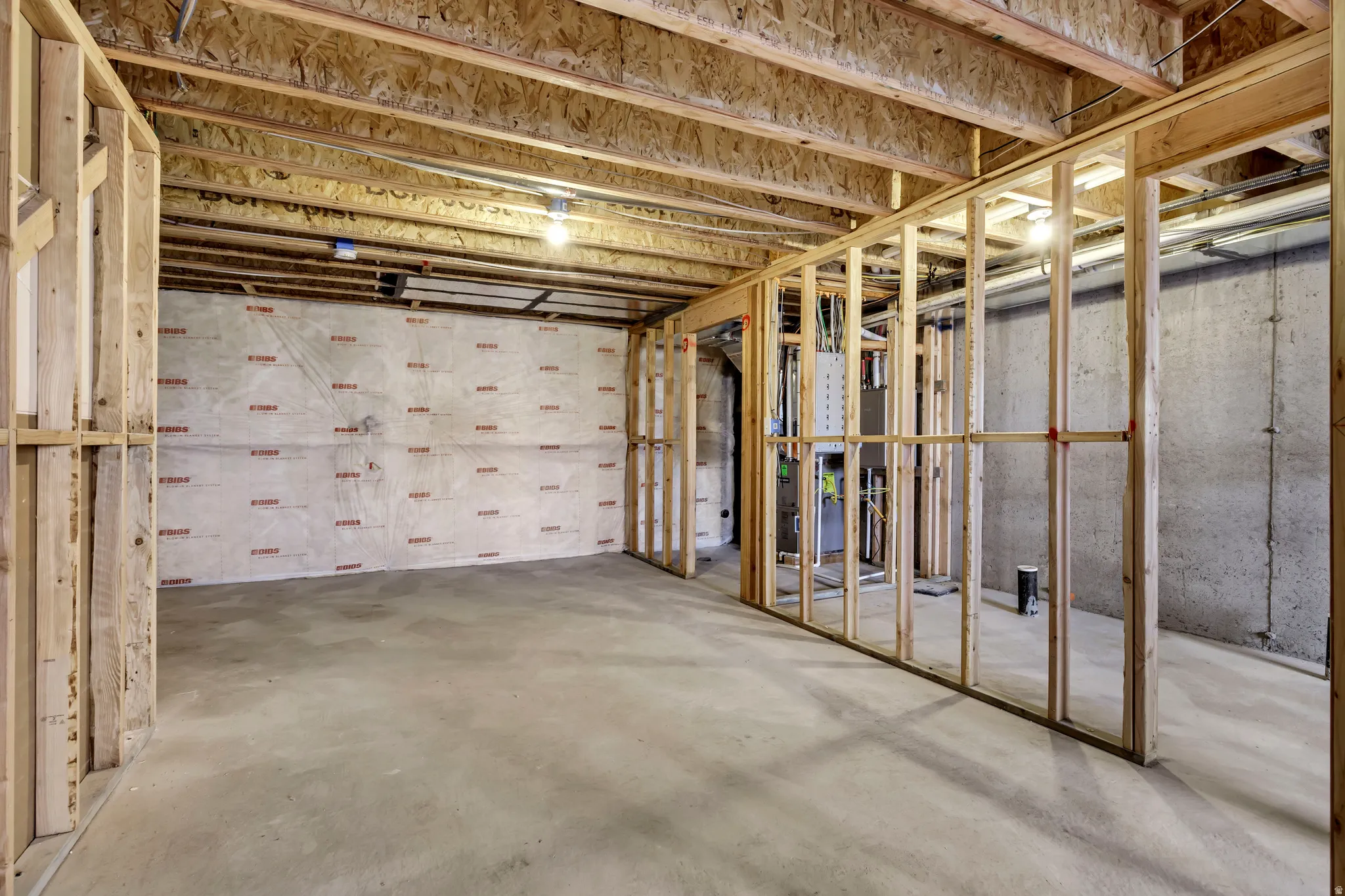 View of unfinished below grade area