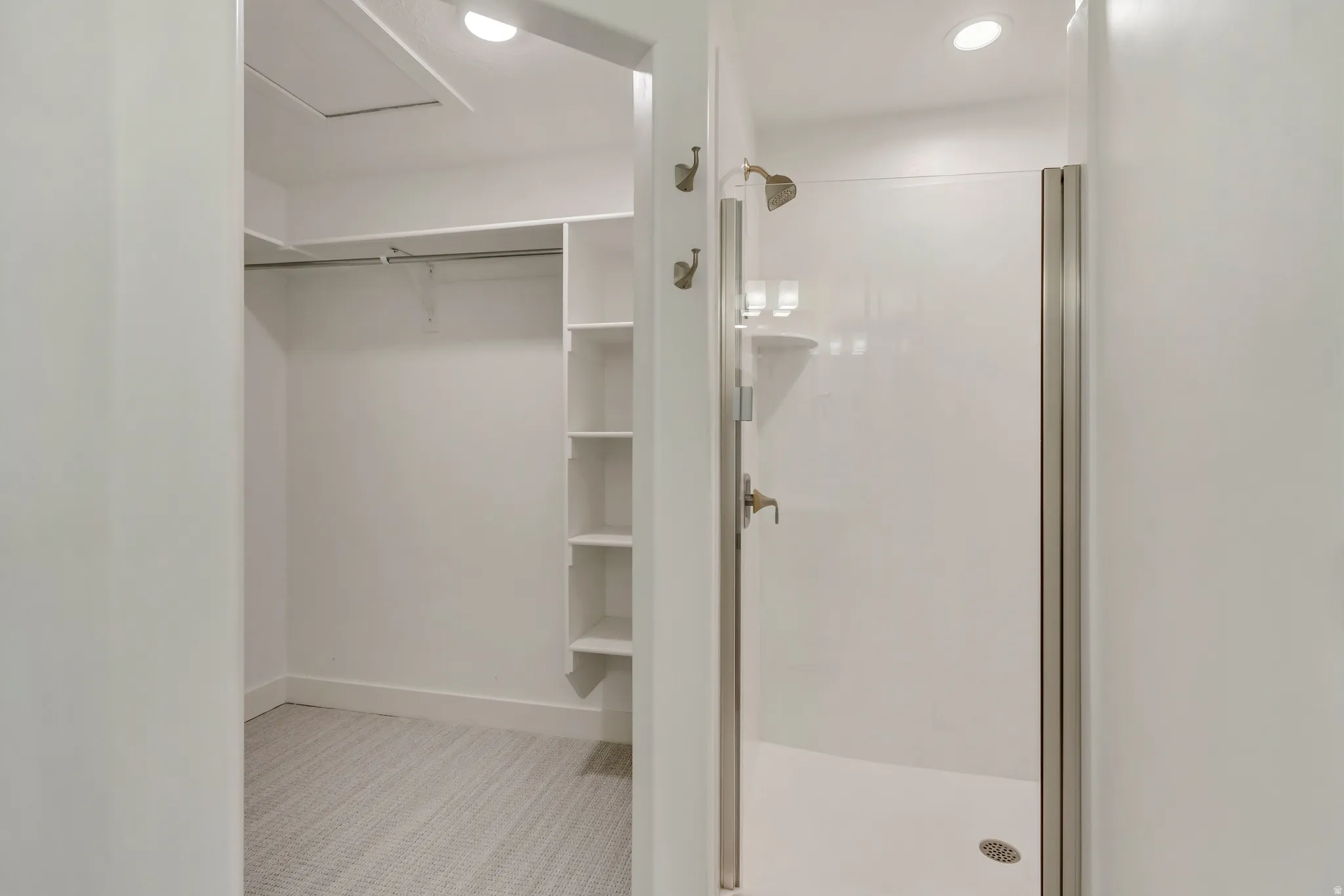 Full bath with light carpet, a stall shower, recessed lighting, and a spacious closet