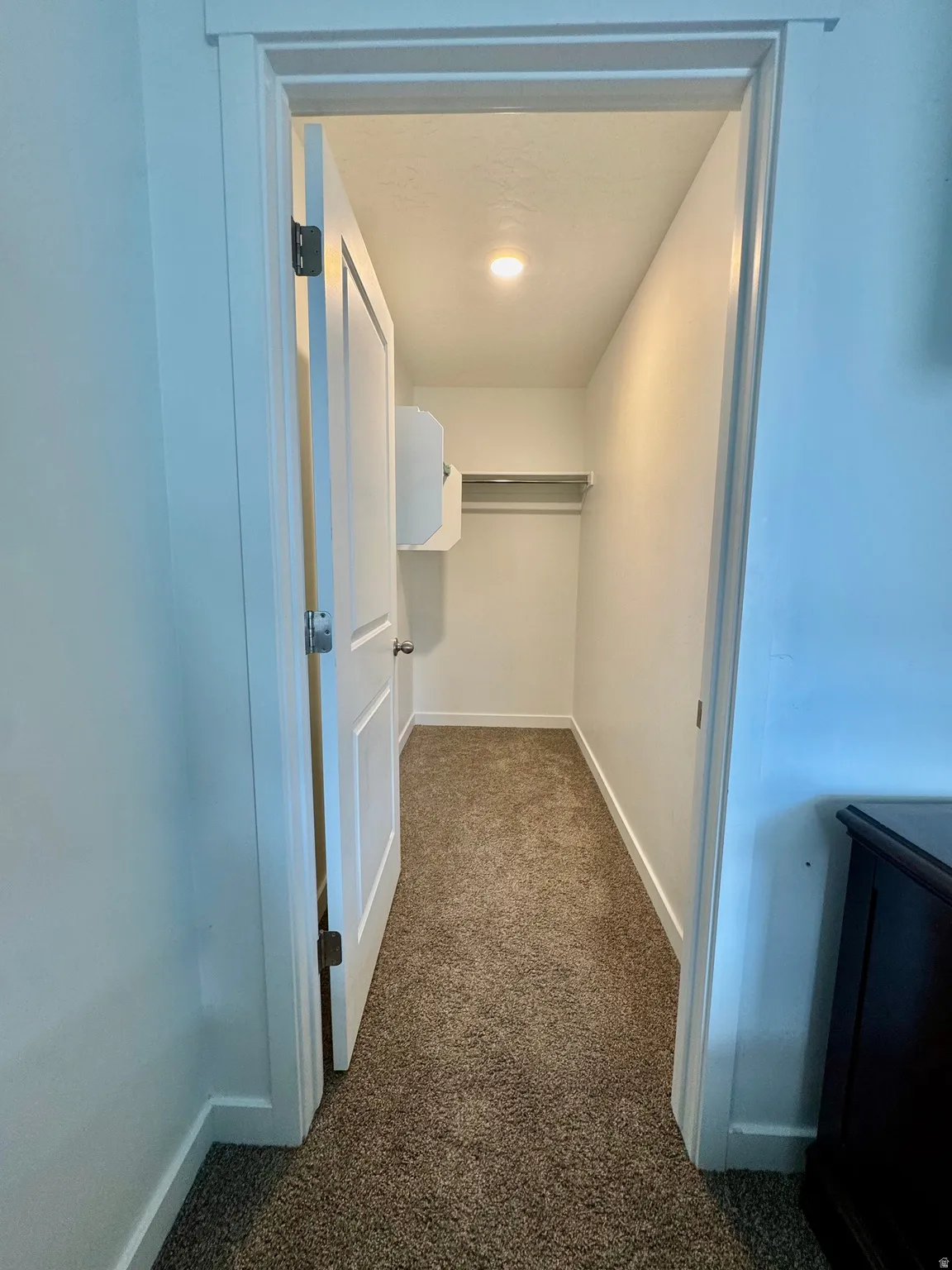 Walk in closet with dark colored carpet