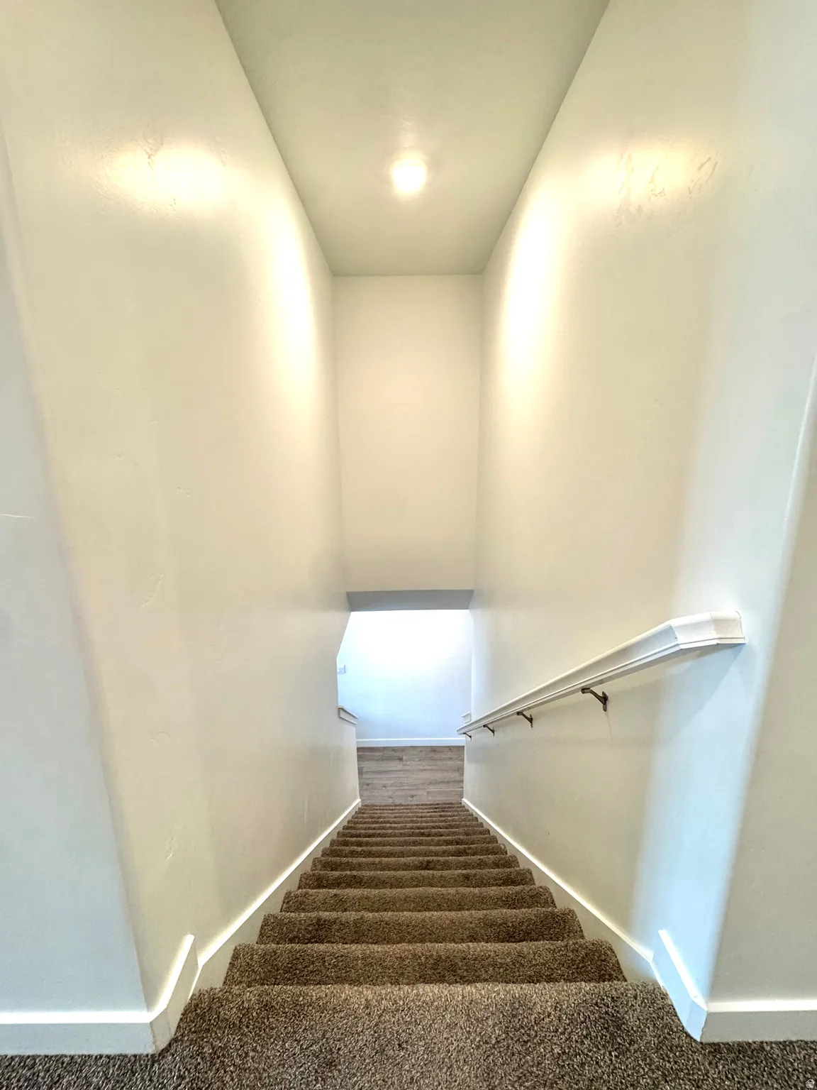 Stairs with carpet and baseboards