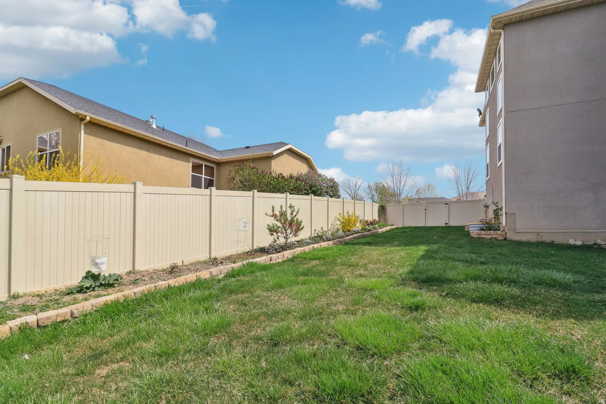 View of fenced backyard