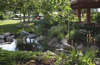 View of yard with a small pond