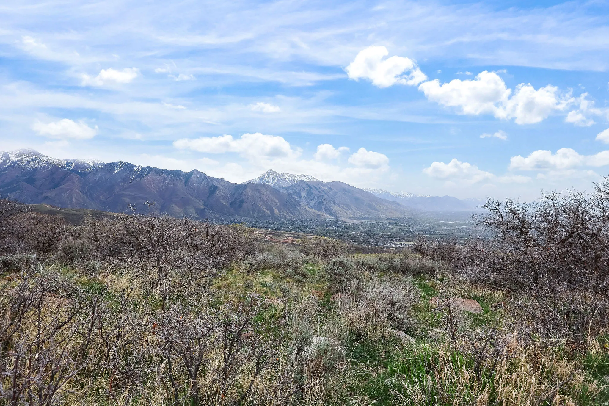 View of mountain background