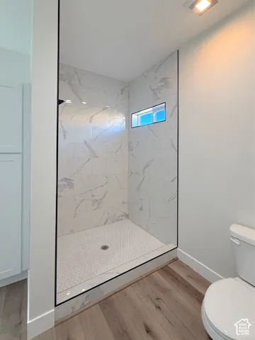 Walk-in shower featuring large format wall tile, hexagonal floor tile, and a recessed window