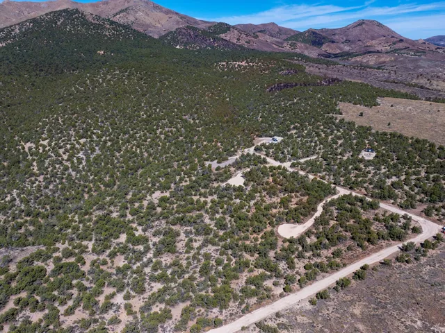 Expansive natural landscape with scattered evergreen trees, unpaved access roads, and distant mountainous terrain