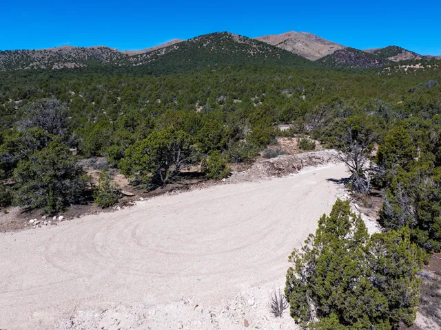 Expansive natural landscape featuring a graded dirt road, mature evergreen trees, and distant mountains