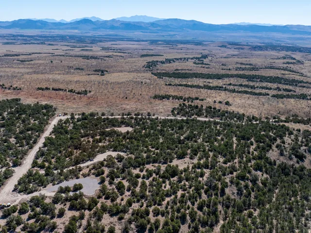Expansive landscape featuring diverse tree coverage, undeveloped terrain, and distant mountain ranges under clear skies