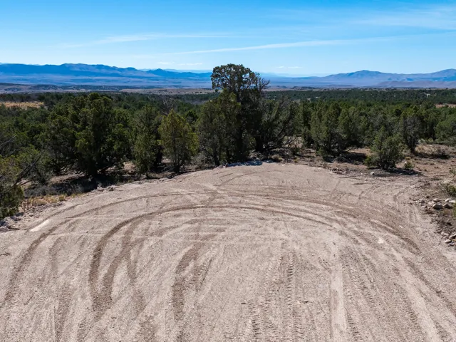 Expansive cleared lot surrounded by mature trees and natural vegetation