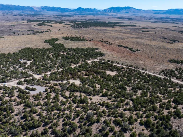 Expansive natural landscape featuring scattered evergreen trees, unpaved roadways, and distant mountain ranges
