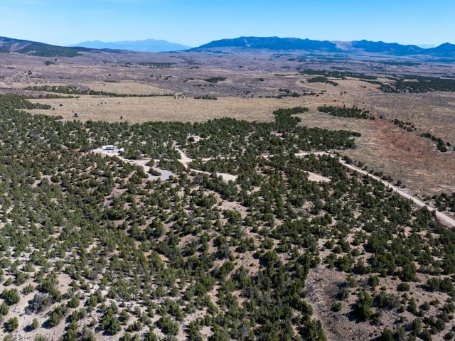 Expansive acreage featuring abundant evergreen trees, a visible dirt road, and distant mountain ranges under a clear sky