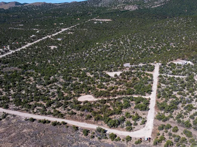 Expansive land featuring established roads and abundant natural vegetation