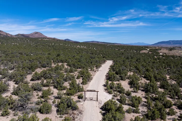 Gated entrance with a wooden archway, leading to a long gravel driveway