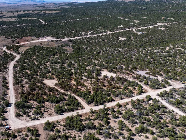 Expansive undeveloped land featuring natural tree coverage and unpaved roads