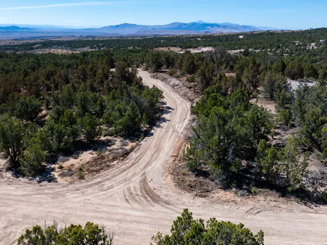 Expansive undeveloped land featuring mature evergreen trees, a winding dirt road, and distant mountain ranges