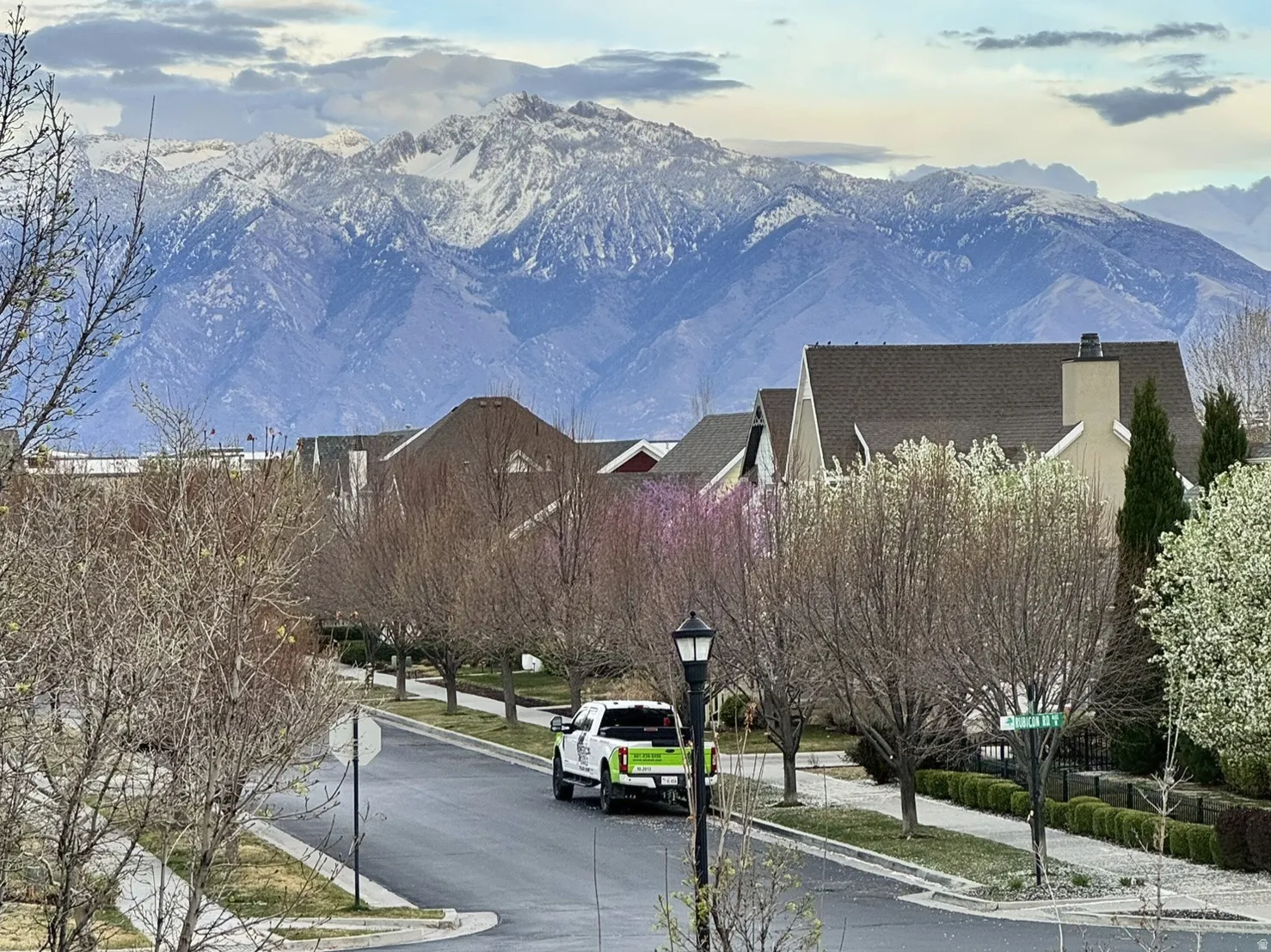 Tree lined streets