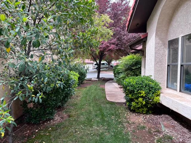 View of green lawn