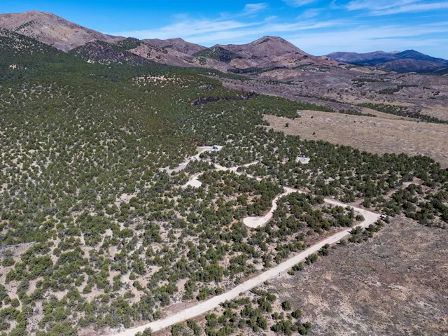 Expansive acreage featuring natural vegetation, a winding dirt road, and distant mountain ranges