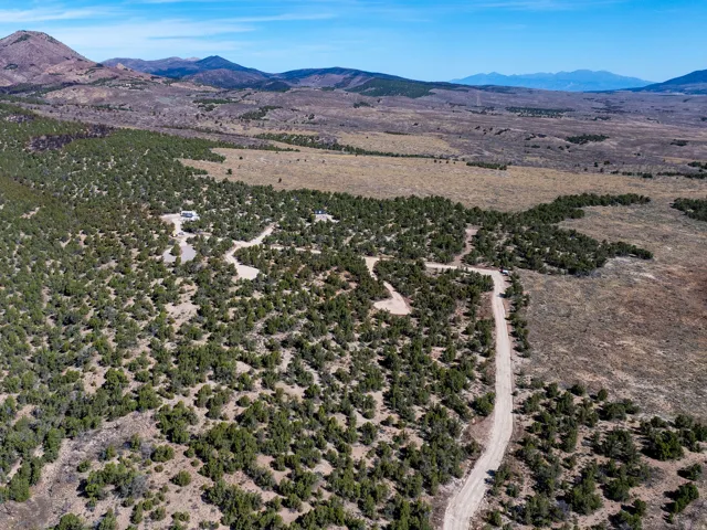 Expansive land featuring diverse terrain, a winding unpaved road, scattered evergreen trees, and distant mountains