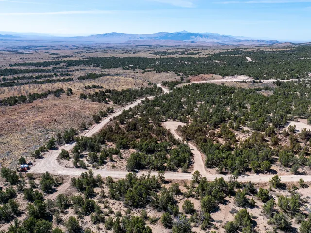 Expansive undeveloped land featuring scattered evergreen trees and unpaved roads