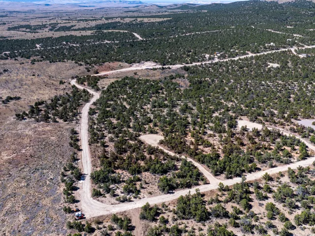 Expansive undeveloped acreage with established dirt roads and natural tree coverage