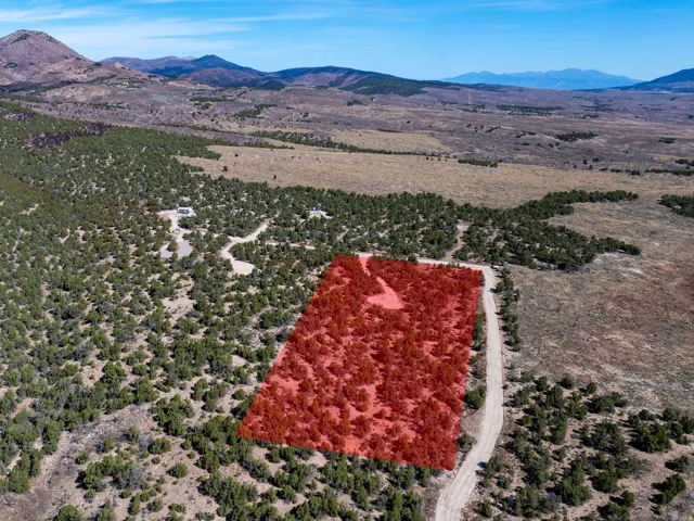 Expansive parcel featuring mature trees, a natural landscape, and a dirt road entrance