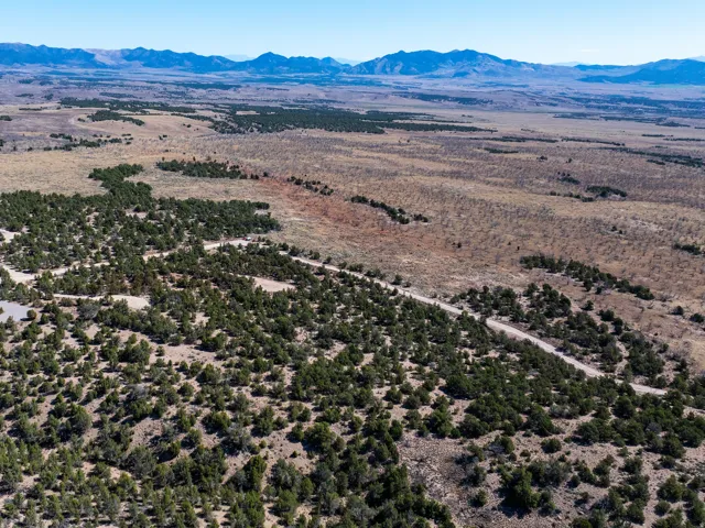 Expansive undeveloped land featuring scattered evergreen trees, a winding dirt road, and distant mountain ranges
