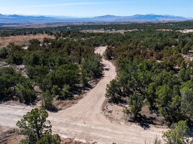 Expansive lot featuring a winding dirt road, mature trees, and distant mountain ranges
