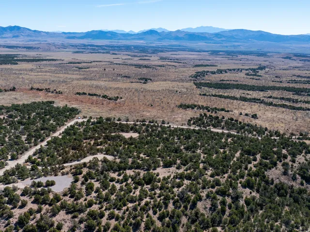 Expansive natural landscape featuring scattered evergreen trees, unpaved roadways, and distant mountain ranges