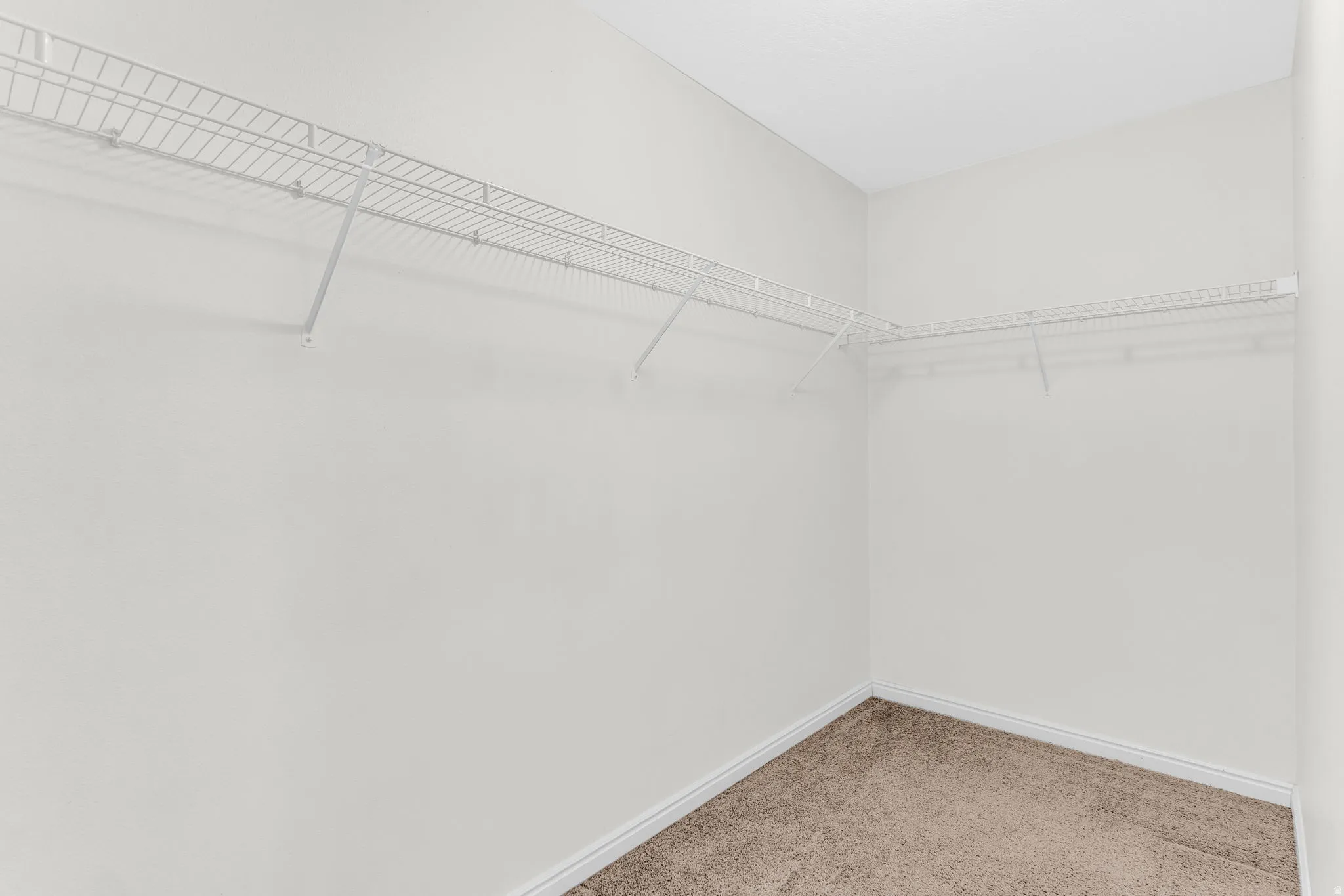 Walk in closet featuring carpet