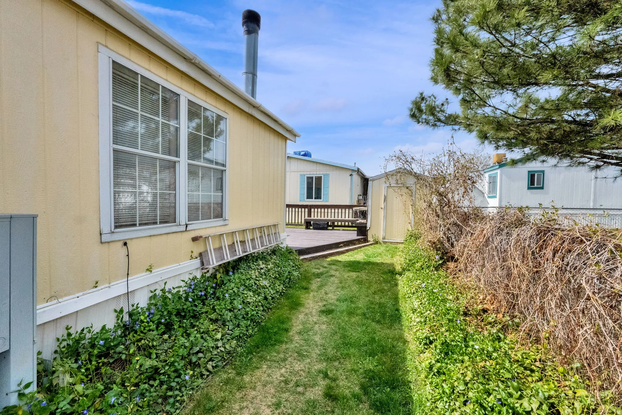 View of grassy yard with a wooden deck and a storage unit