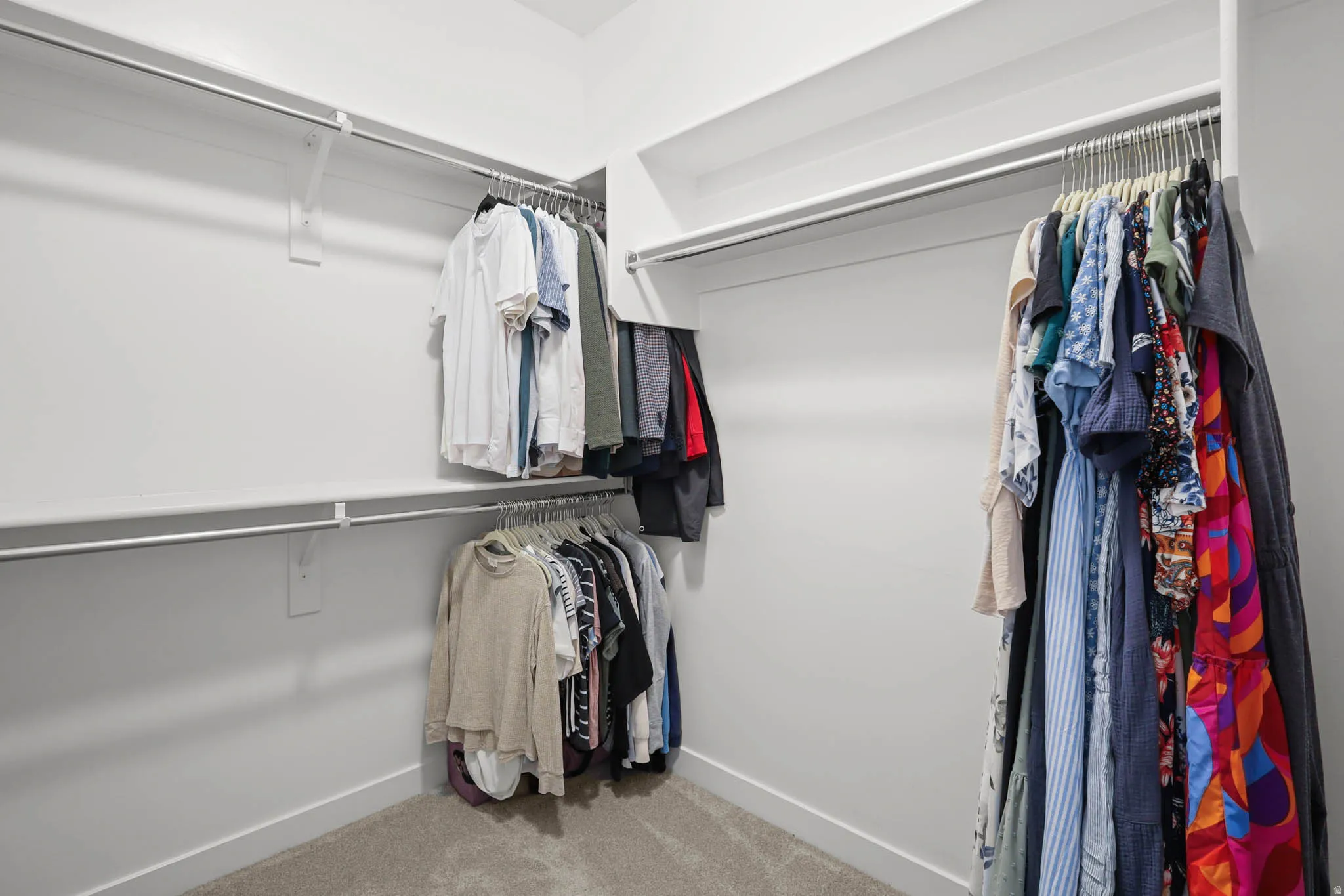 Primary walk-in closet with light carpet