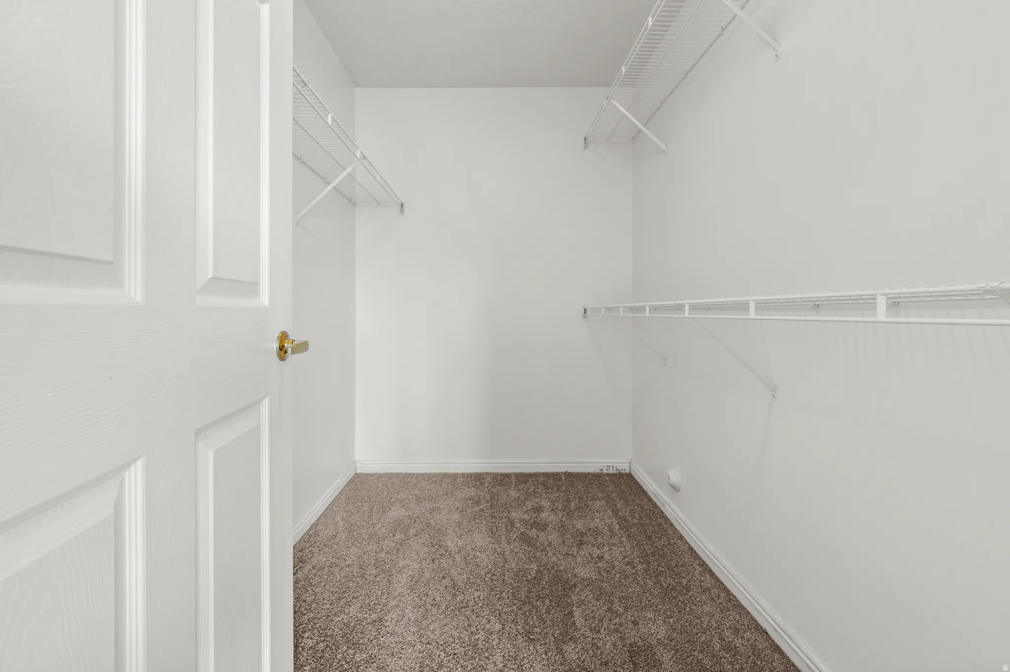 Walk in closet featuring dark colored carpet
