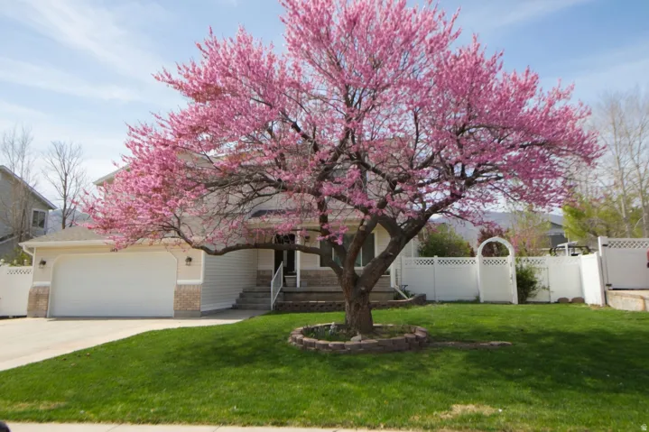 Obstructed view of property featuring concrete driveway, an attached garage, a porch, and brick siding