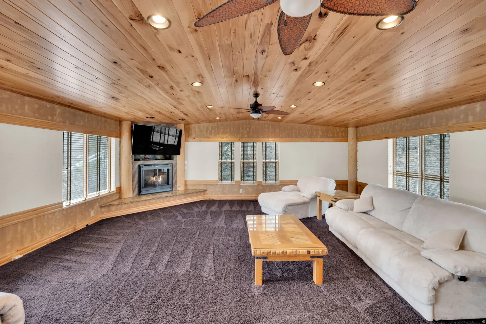 Living area with plenty of natural light, wood walls, dark carpet, a wainscoted wall, and a glass covered fireplace