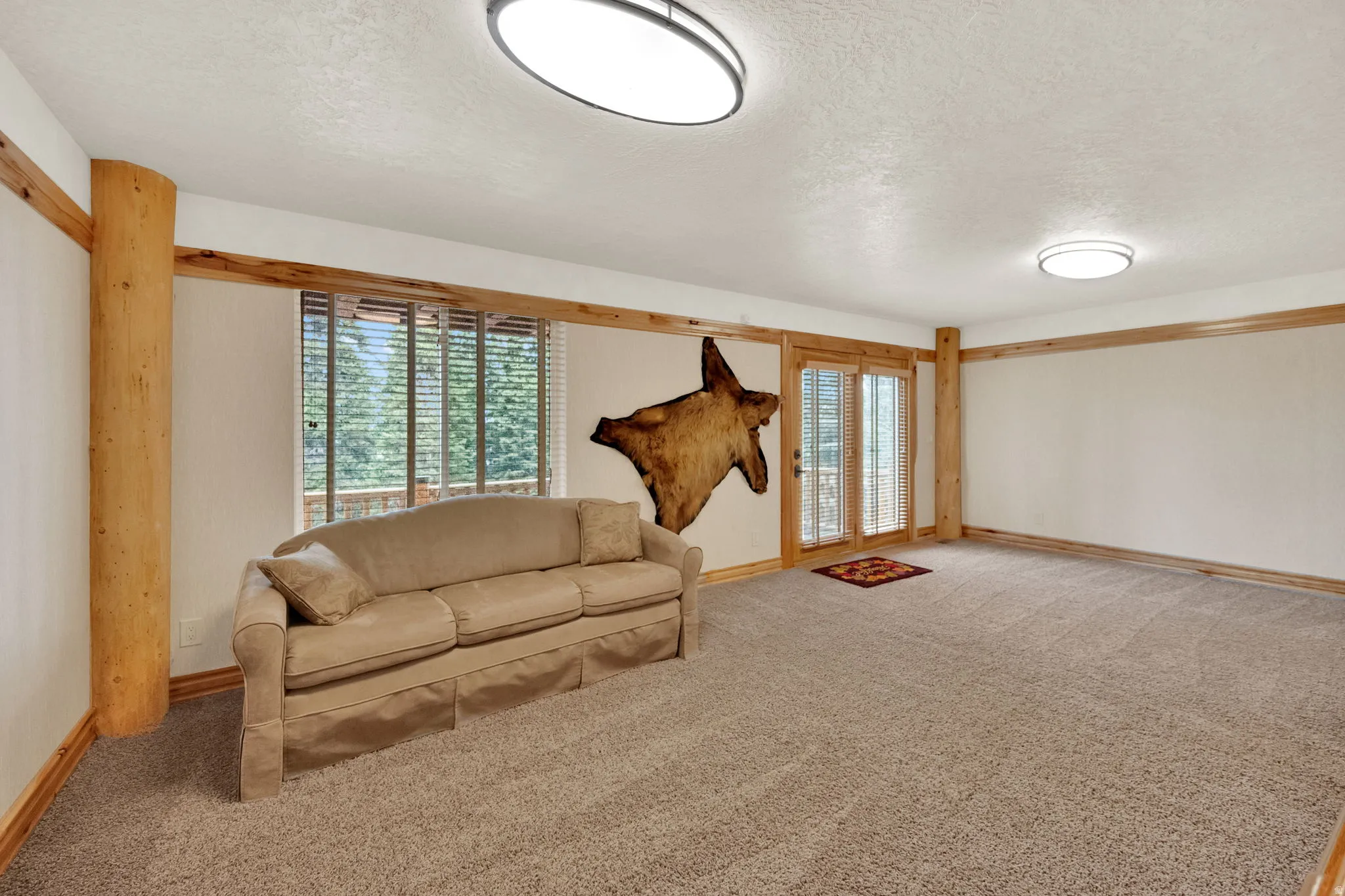Living area featuring a textured ceiling, light carpet, and healthy amount of natural light