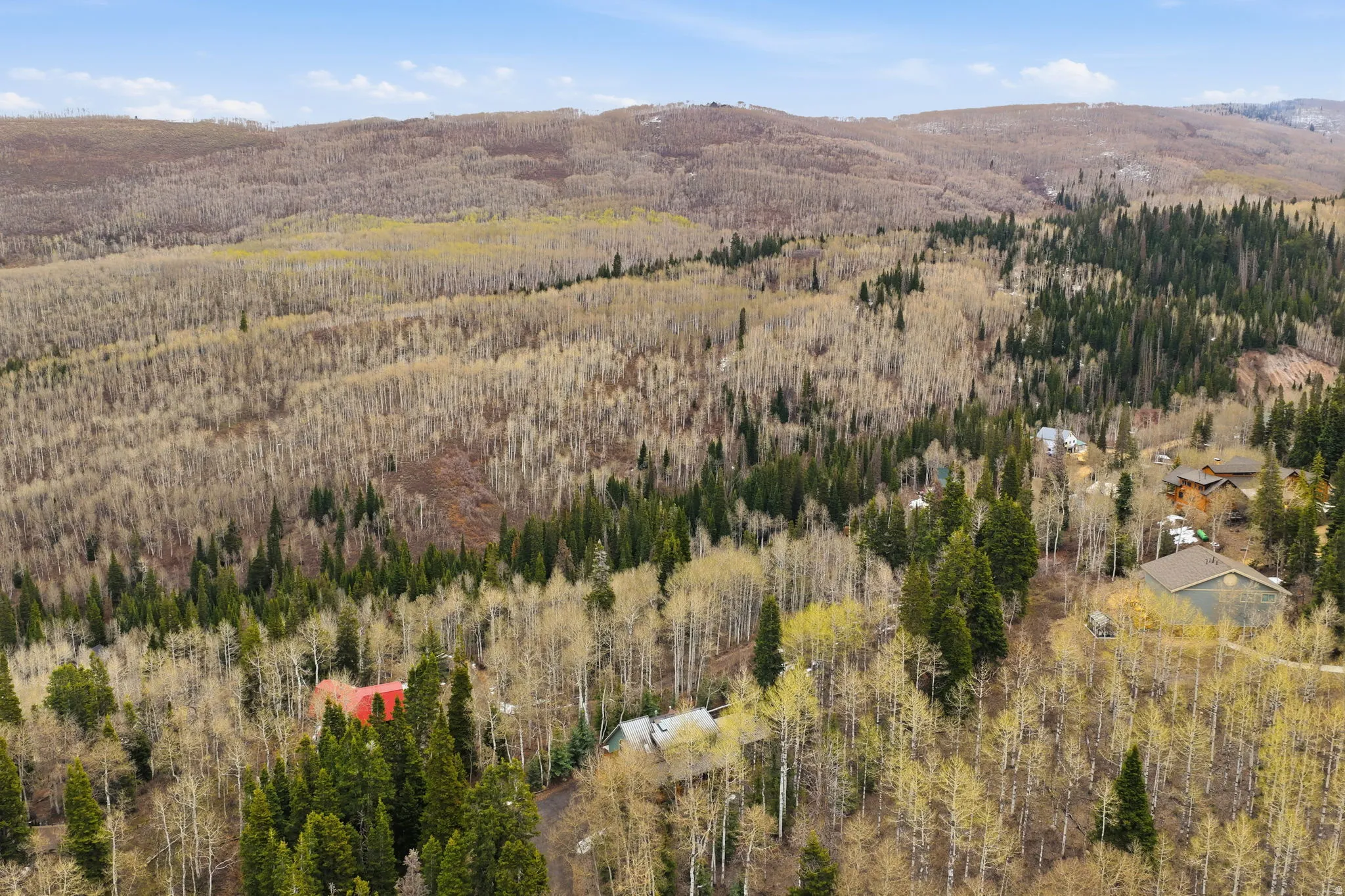 View of mountain backdrop featuring a heavily wooded area