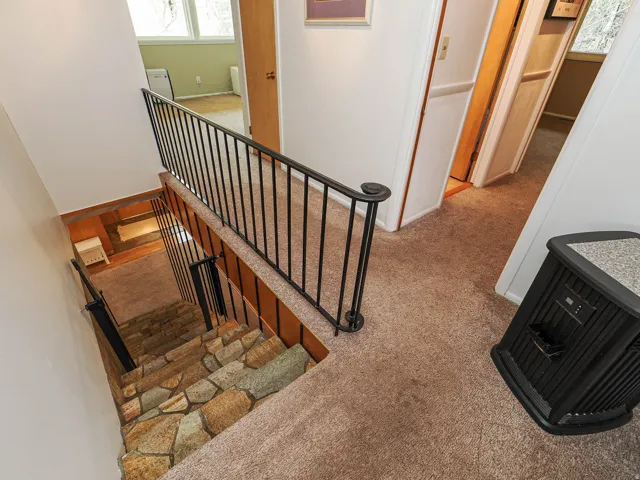 Staircase featuring carpet flooring and healthy amount of natural light